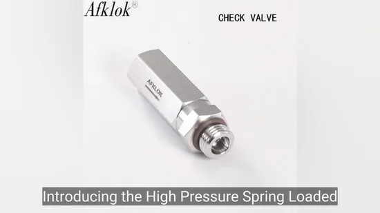 Afklok 3000psi Instrument Check Valve Female NPT X Male NPT Connection SS316L Non Return Valve Water Gas Application